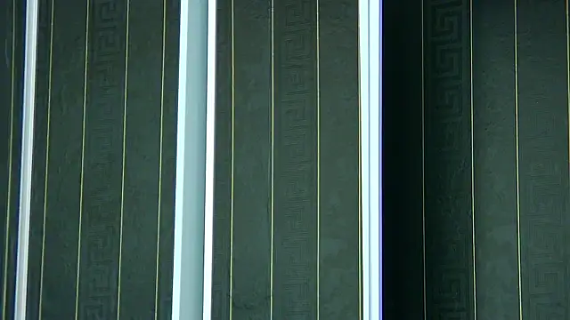 SophiaVilner online show from April 8, 2026, 6:52 pm