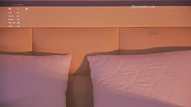 Snapshot of iKamelllya chatting on March 13, 2025, 10:05 am iKamelllya online show from March 13, 2025, 10:05 am