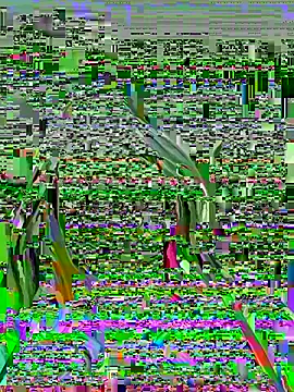 Vikki toriya online show from March 1, 2026, 5:15 pm