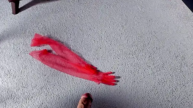 Dorothy Meyer online show from March 27, 2026, 8:26 am