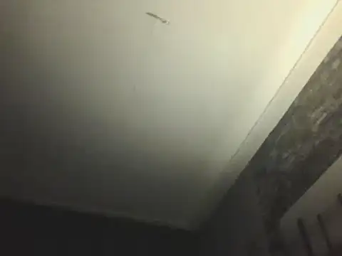 Prehistorixxx2686 online show from January 12, 2025, 6:28 am