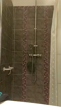 pachapeter online show from January 29, 2025, 5:24 pm