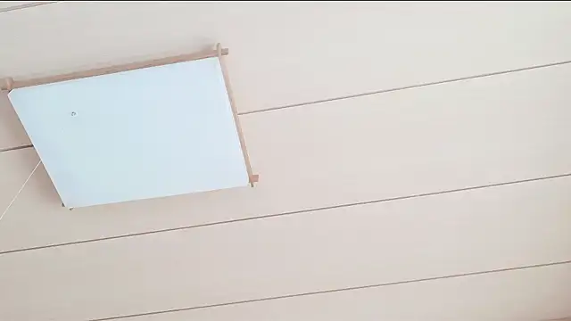 Snapshot of xxArisaxx chatting on March 1, 2026, 5:42 am xxArisaxx online show from March 1, 2026, 5:42 am