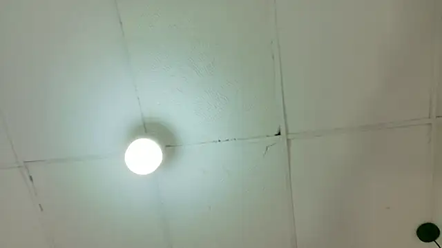 Snapshot of kendalltaylorr chatting on March 6, 2026, 4:42 am kendalltaylorr online show from March 6, 2026, 4:42 am