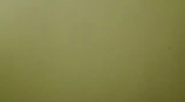  Blue Ruubyy  online show from February 1, 2025, 12:37 pm