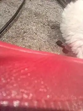 lubme online show from October 7, 2025, 8:00 am