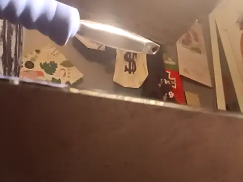 lubme online show from November 12, 2025, 12:05 pm