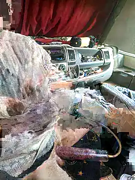 Snapshot of richa22cm chatting on November 12, 2025, 2:17 pm richa22cm online show from November 12, 2025, 2:17 pm