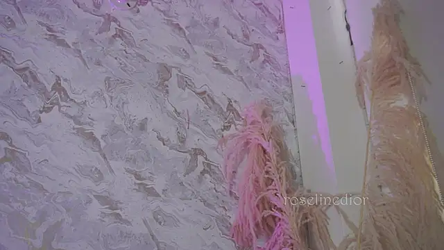 roselinedior online show from December 2, 2025, 1:17 pm