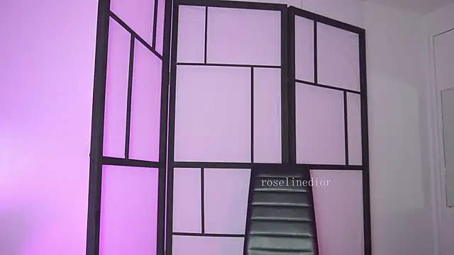 Snapshot of roselinedior chatting on February 25, 2026, 2:05 pm roselinedior online show from February 25, 2026, 2:05 pm