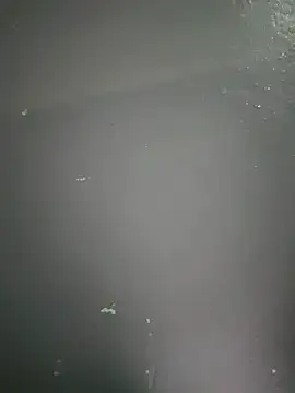 Snapshot of kamasutra20 chatting on December 19, 2025, 1:01 am kamasutra20 online show from December 19, 2025, 1:01 am