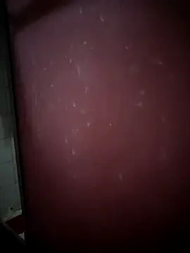 Snapshot of kamasutra20 chatting on December 21, 2025, 12:07 am kamasutra20 online show from December 21, 2025, 12:07 am