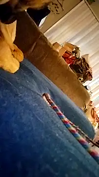 Snapshot of fukurbutt chatting on February 19, 2026, 3:41 pm fukurbutt online show from February 19, 2026, 3:41 pm