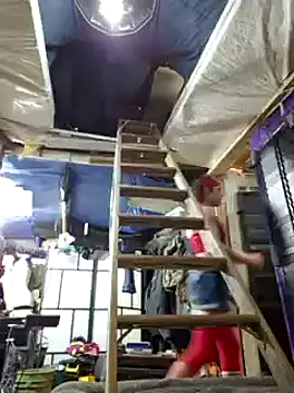 cdressupdiva online show from February 12, 2025, 11:40 am