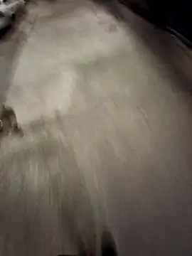 BandidodeAmores 84 online show from October 19, 2025, 3:07 am