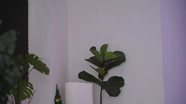 Snapshot of NicoleSarahX chatting on February 7, 2025, 11:24 pm NicoleSarahX online show from February 7, 2025, 11:24 pm