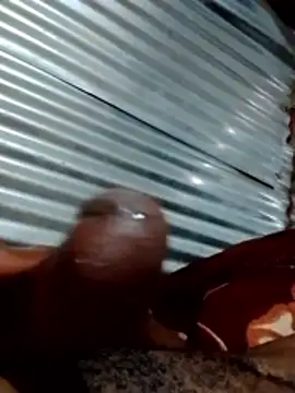 walPssY1 online show from November 5, 2025, 11:10 am