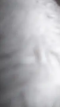 Snapshot of Ajhustler1@xh chatting on January 9, 2026, 11:46 am Ajhustler1xh online show from January 9, 2026, 11:46 am