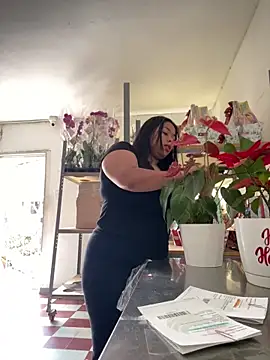 PUSHYLATE online show from December 19, 2025, 6:04 pm