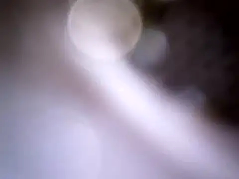 Beijing2000 online show from January 14, 2025, 4:04 am