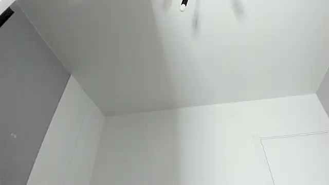 Snapshot of dolly_ll chatting on February 23, 2025, 4:24 pm dolly ll online show from February 23, 2025, 4:24 pm