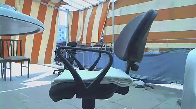 zormen355 online show from March 16, 2025, 9:27 am