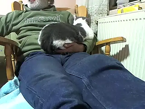 zormen355 online show from November 13, 2025, 6:29 pm