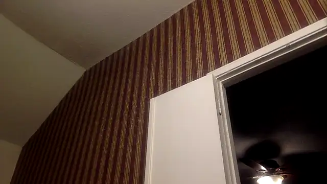 Snapshot of GForceSavage chatting on February 11, 2026, 5:56 am GForceSavage online show from February 11, 2026, 5:56 am