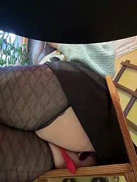 PumaShyXD online show from December 15, 2024, 10:28 am