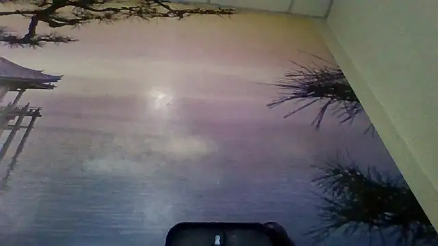 AliceTailor online show from February 2, 2026, 7:56 pm