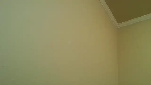 Snapshot of YelpedAverting chatting on December 17, 2025, 12:49 am YelpedAverting online show from December 17, 2025, 12:49 am