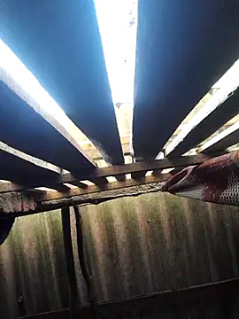 HotSexyBoudi online show from October 16, 2025, 8:48 am