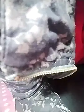 Dangky1 online show from February 3, 2025, 4:25 am