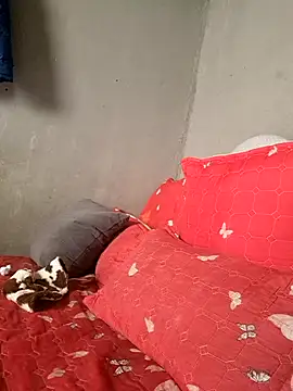 Petrossa online show from January 13, 2026, 11:48 am