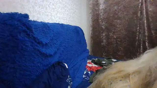 CarlyTreat online show from November 30, 2025, 4:00 pm