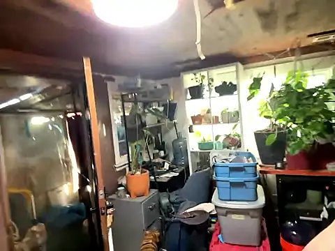 Snapshot of trash4cash chatting on January 13, 2026, 10:04 pm trash4cash online show from January 13, 2026, 10:04 pm