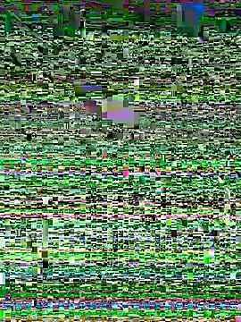 Snapshot of Snehameoww@xh chatting on November 21, 2025, 4:16 pm Snehameowwxh online show from November 21, 2025, 4:16 pm