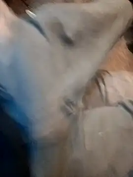 ySqmbVanbe online show from December 17, 2025, 9:43 pm