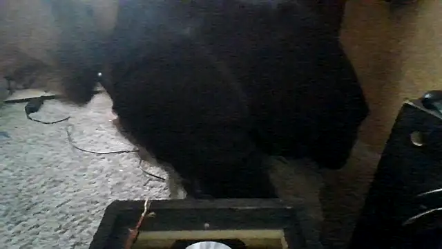 ySqmbVanbe online show from March 15, 2026, 5:52 pm