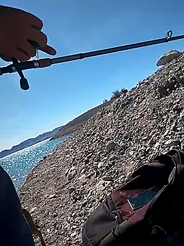 FloppyPickle4u online show from March 4, 2025, 7:43 pm