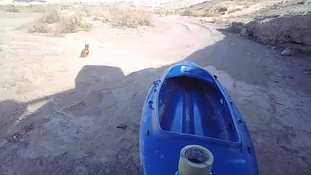 FloppyPickle4u online show from December 20, 2025, 10:39 pm