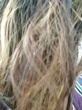 littlequeen77 online show from March 11, 2025, 8:31 pm