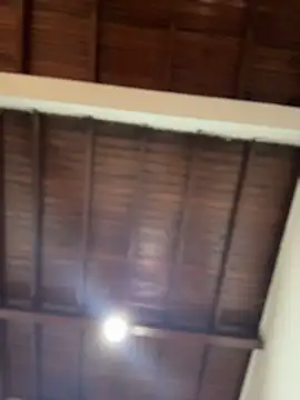 Snapshot of emiss_ chatting on December 2, 2025, 3:51 pm emiss online show from December 2, 2025, 3:51 pm