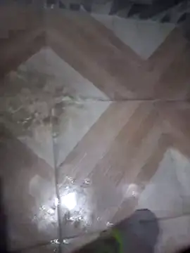 Snapshot of putosafado669 chatting on December 22, 2025, 1:19 pm putosafado669 online show from December 22, 2025, 1:19 pm