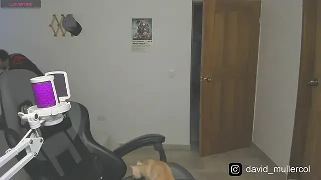 David Brown18 online show from January 26, 2025, 12:16 am