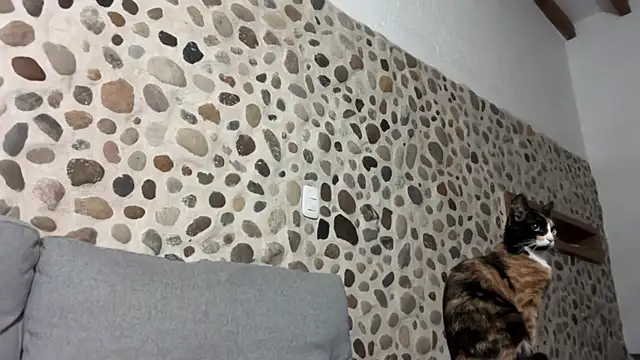 David Brown18 online show from October 1, 2025, 3:45 am