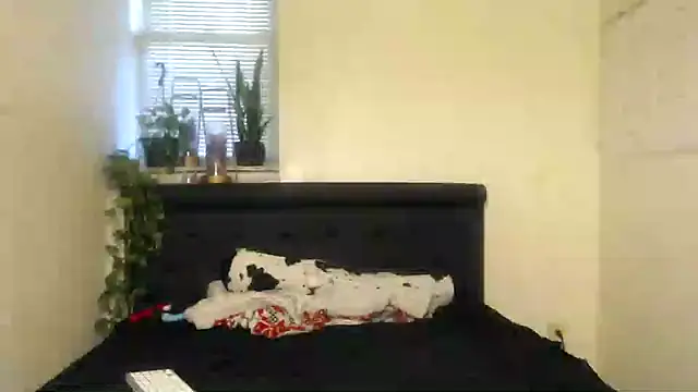 vixenpaisley2 online show from December 7, 2024, 3:04 am