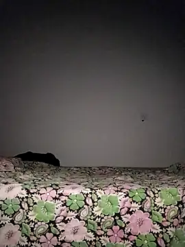 Sexygarl1024 online show from October 8, 2025, 9:34 pm