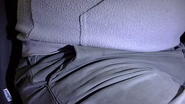 Snapshot of by-panic chatting on January 15, 2026, 3:55 am by-panic online show from January 15, 2026, 3:55 am