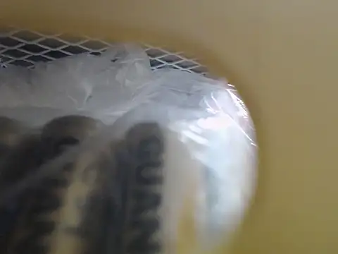 lovense test04 online show from October 16, 2025, 3:51 am